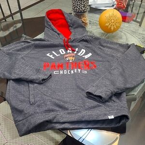 Men's Florida Panthers Ash Heritage Pullover Hoodie Large Like New